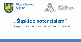 Śląskie z potencjałem